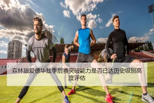 森林狼爱德华兹季后赛突破能力是否已达历史级别高度评估